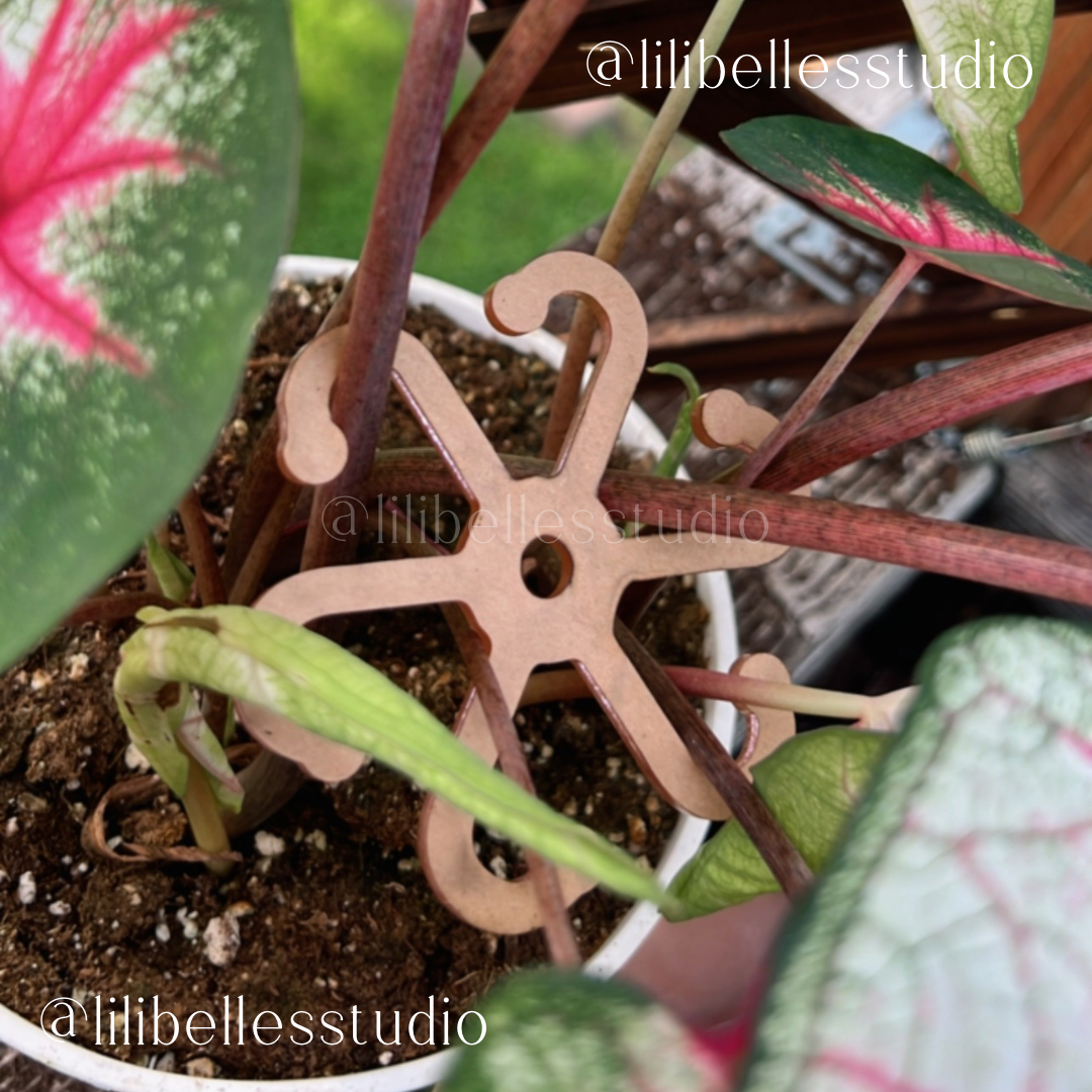 Plant Stem supports MOLD