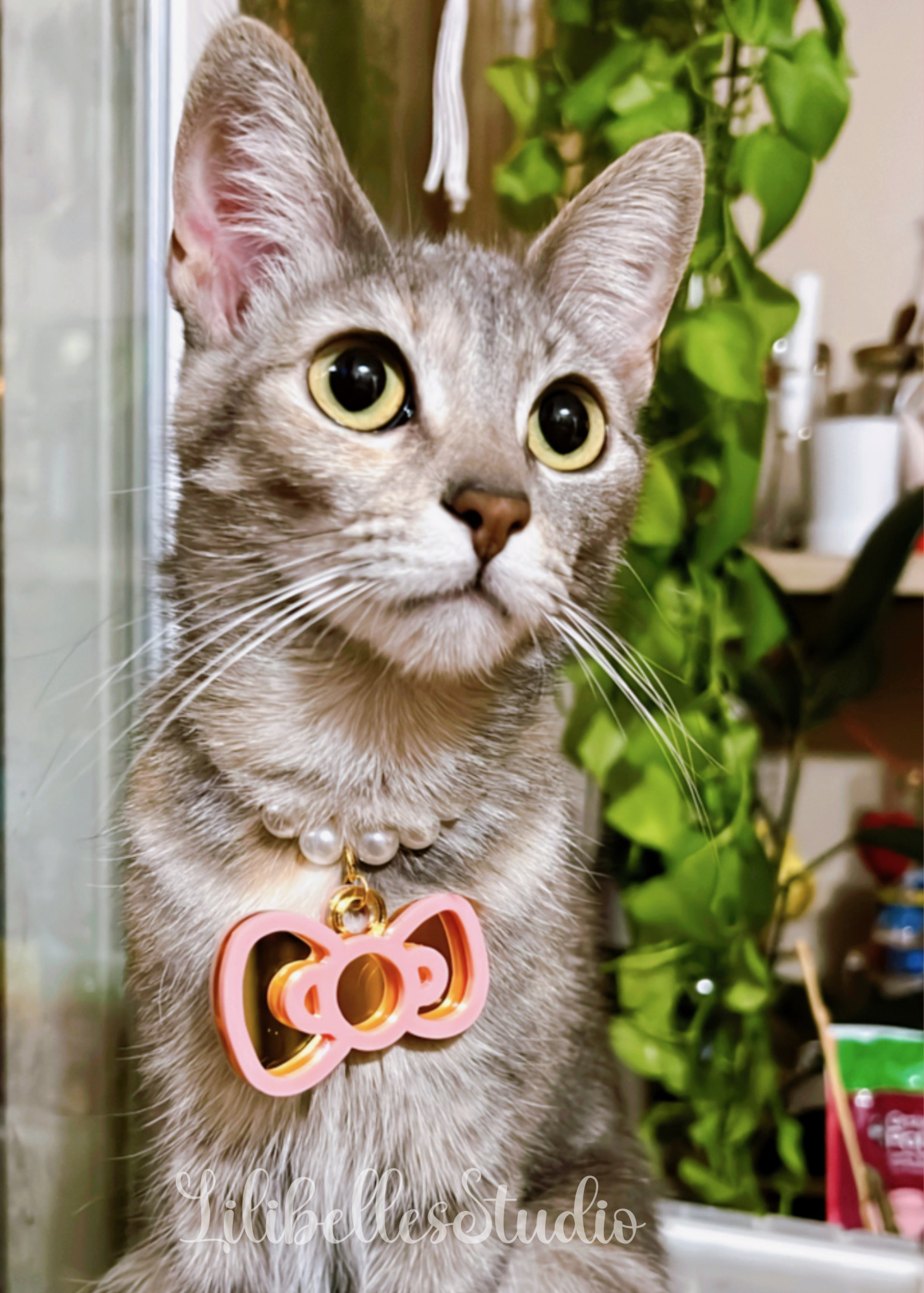 CUSTOM pet bow tag