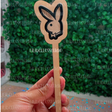 Bunny shaker pen MOLD