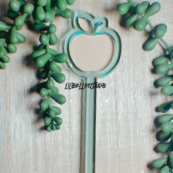 Apple shaker pen MOLD